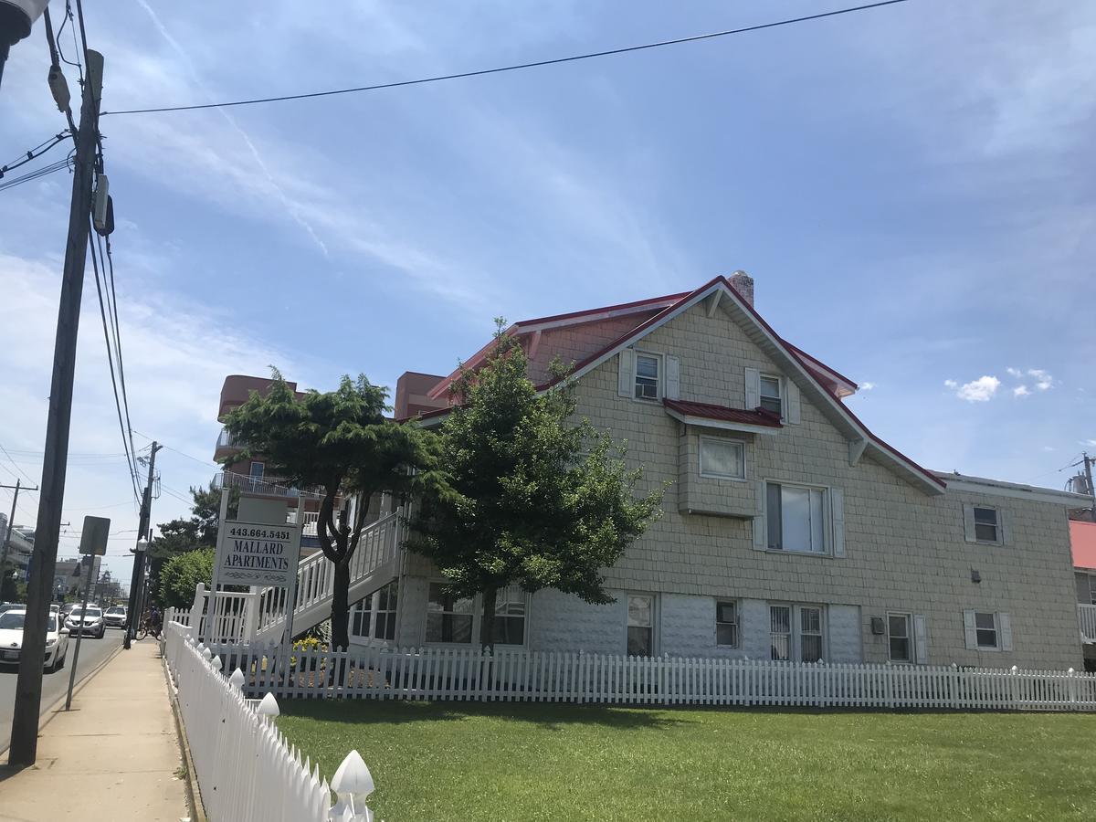 Mallard Apartments Ocean City Eksteriør billede